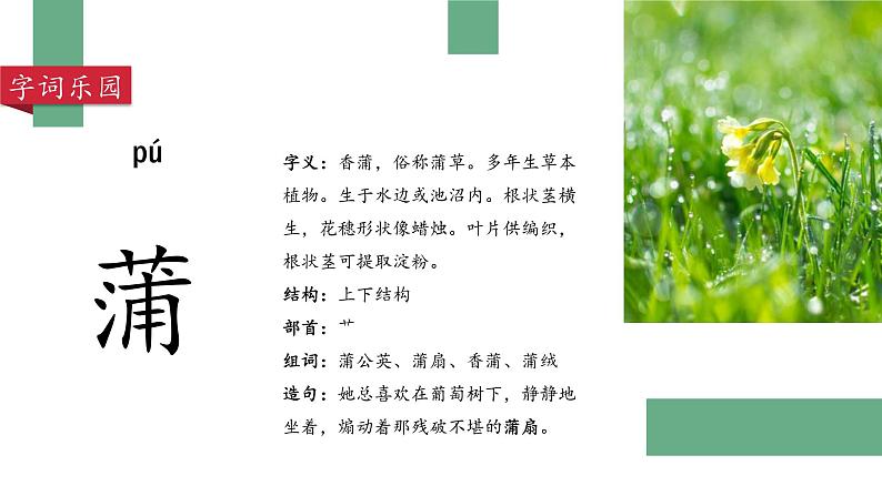 部编版语文三年级上册 教学课件_金色的草地1(第1课时)06