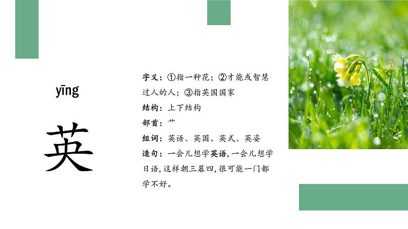 部编版语文三年级上册 教学课件_金色的草地1(第1课时)07
