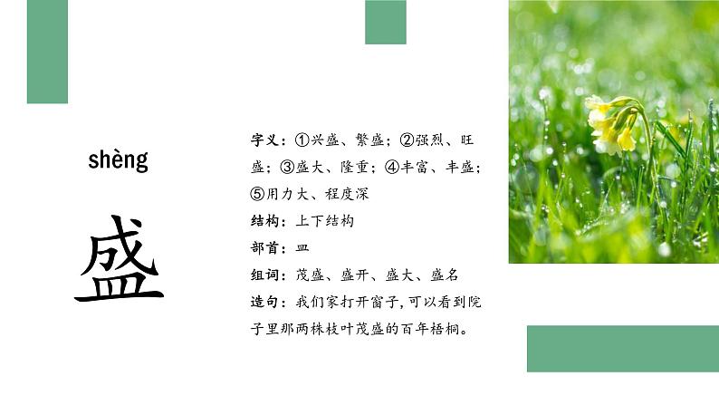 部编版语文三年级上册 教学课件_金色的草地1(第1课时)08