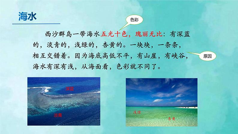 部编版语文三年级上册 教学课件_富饶的西沙群岛2(第1课时)第8页