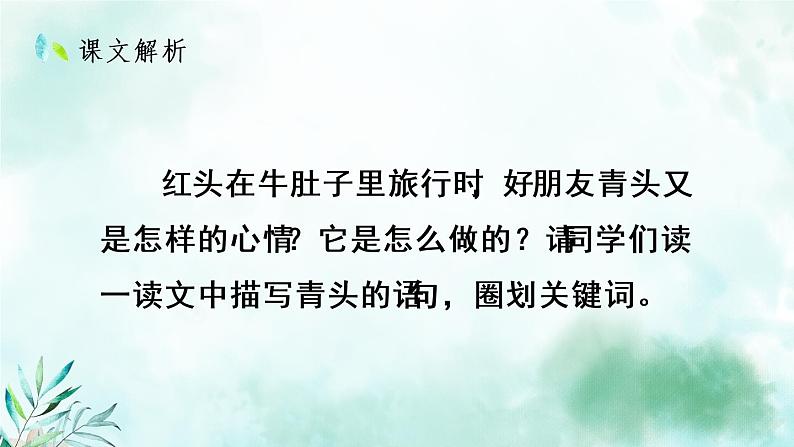 部编版语文三年级上册 教学课件_在牛肚子里旅行1(第2课时)07