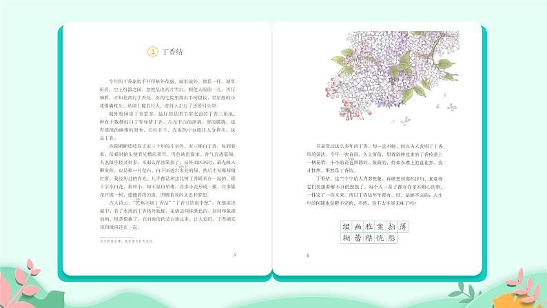 部编版6年级语文2《丁香结》第一课时第6页