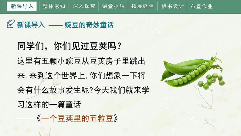 5《一个豆荚里的五粒豆》(课件)部编版语文四年级上册第4页