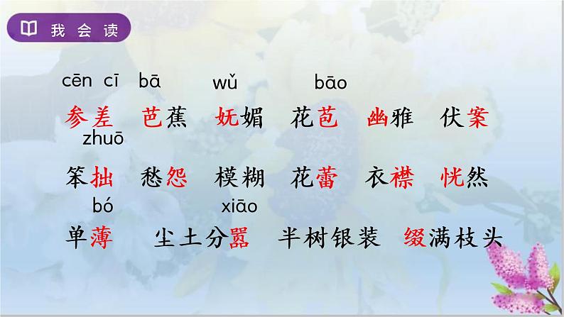 部编版6上语文2《丁香结》课件PPT+教案05