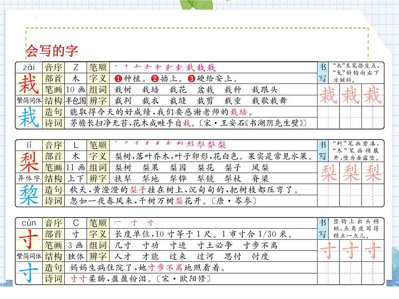 部编版语文三年级上册 第22课 读不完的大书(课件)第5页
