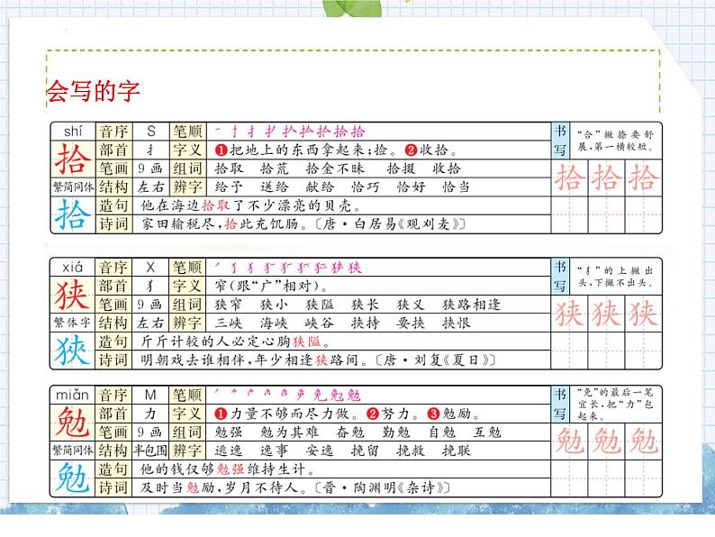 部编版语文五年级上册 第17课 松鼠(课件)05