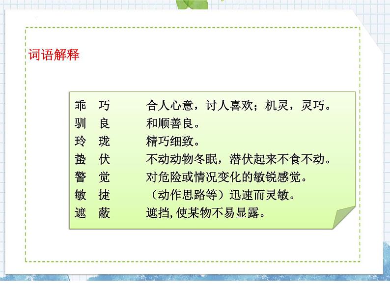 部编版语文五年级上册 第17课 松鼠(课件)07