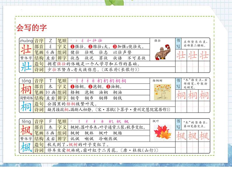 部编版语文二年级上册 识字2 树之歌(课件)03