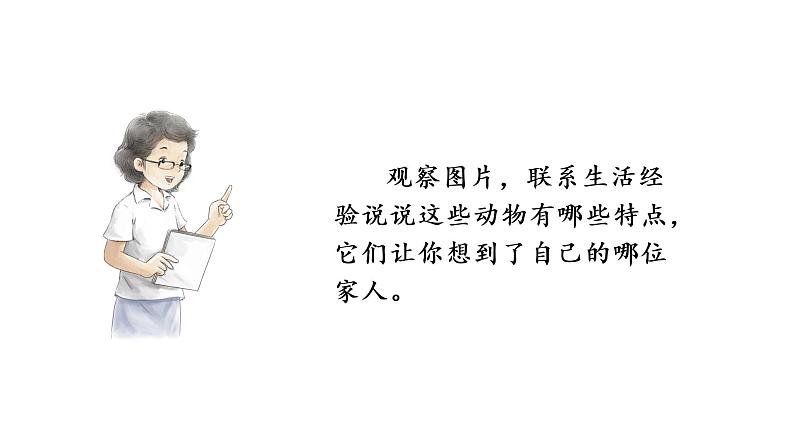 习作:小小“动物园” 课件 部编版语文四年级上册04