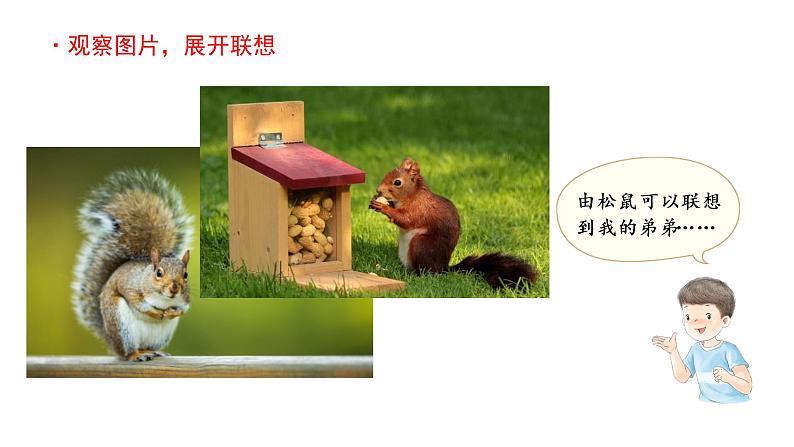 习作:小小“动物园” 课件 部编版语文四年级上册07