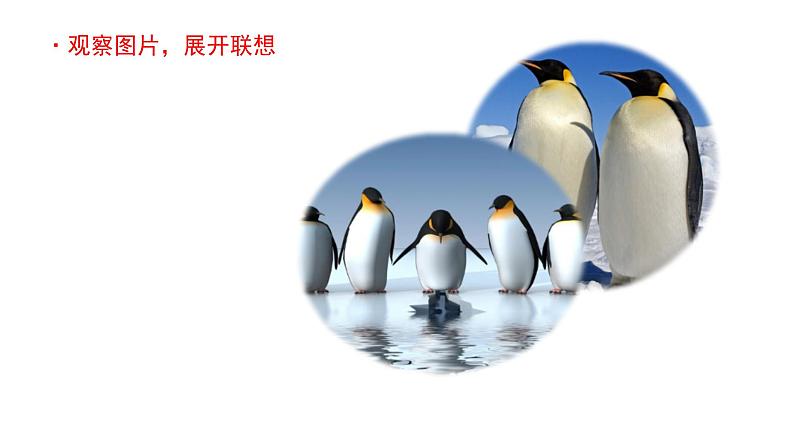 习作:小小“动物园” 课件 部编版语文四年级上册08