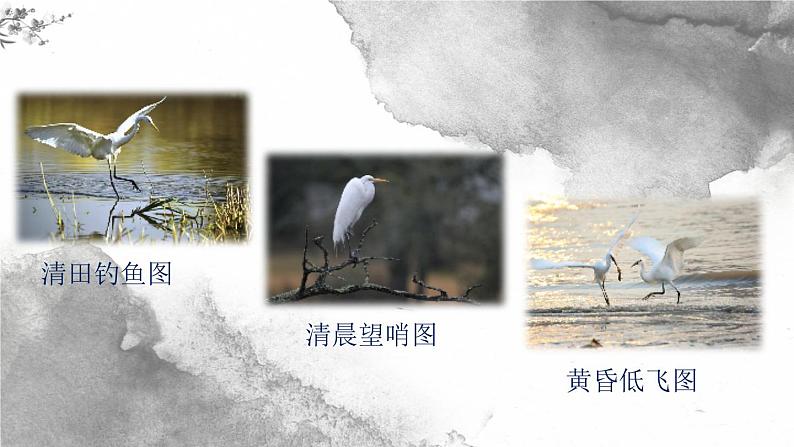 1.1《白鹭》(第二课时)课件第2页