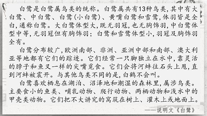1.1《白鹭》(第二课时)课件第5页