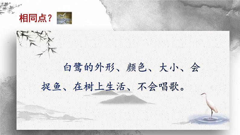 1.1《白鹭》(第二课时)课件第7页