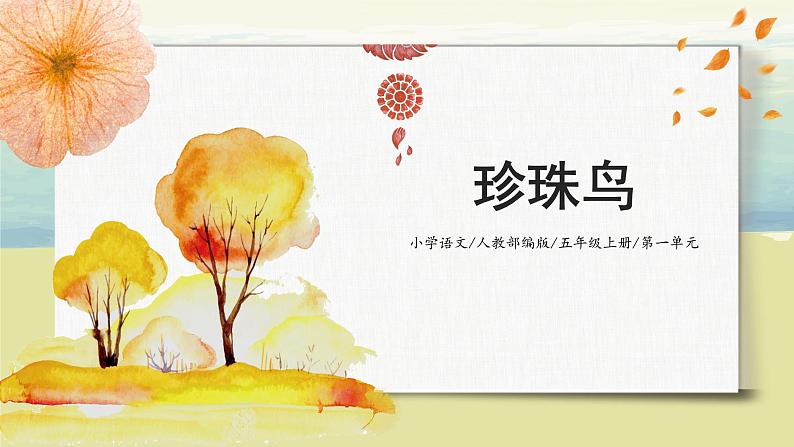 1.4《珍珠鸟》课件+教案+练习01