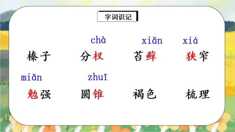 17《松鼠》课件PPT+生字课件+教案+练习+音视频素材06