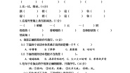 小学语文（统编版）三年级下册第五单元测试（A）卷（无答案）