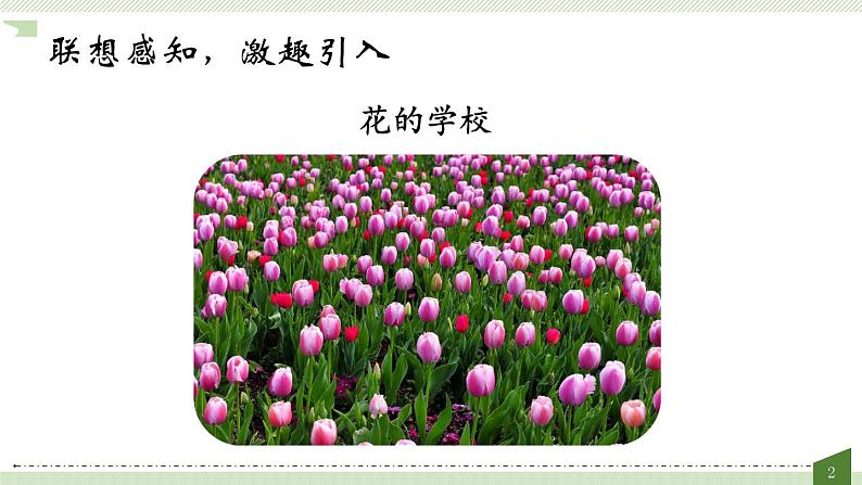 2《花的学校》(课件)部编版语文三年级上册第2页