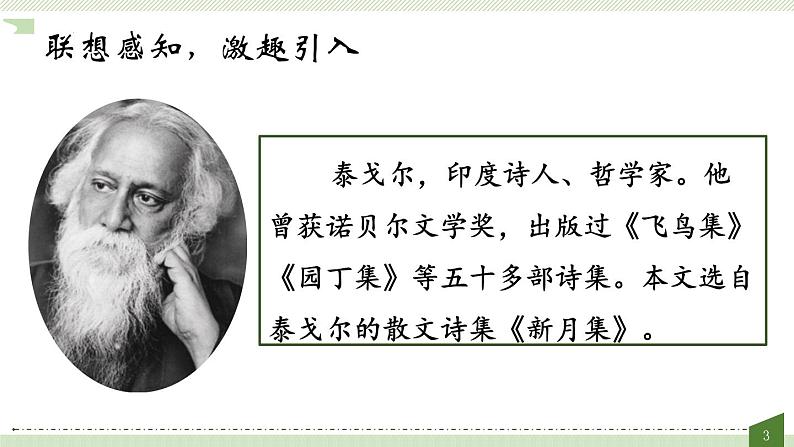 2《花的学校》(课件)部编版语文三年级上册第3页