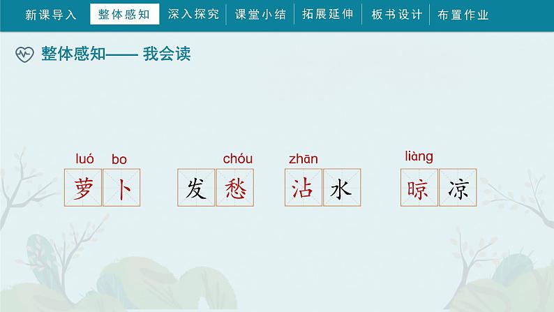 13《胡萝卜先生的长胡子》 (课件)部编版语文三年级上册08