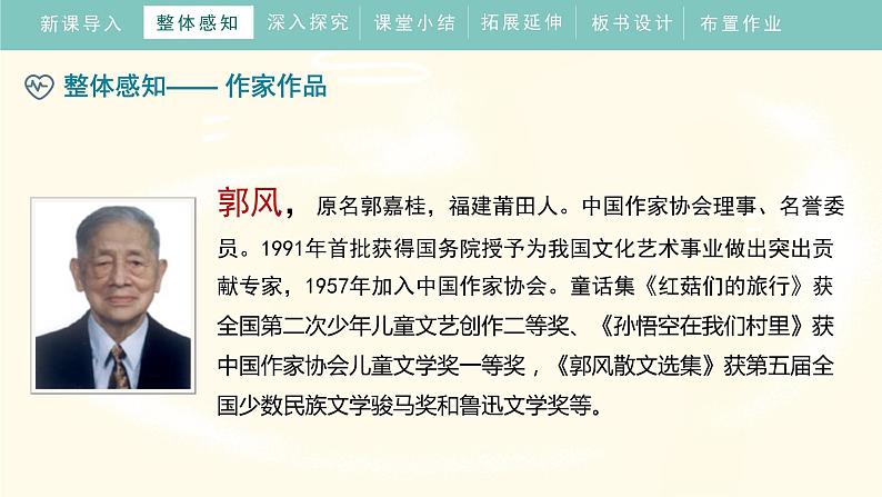 15《搭船的鸟》(课件)部编版语文三年级上册07