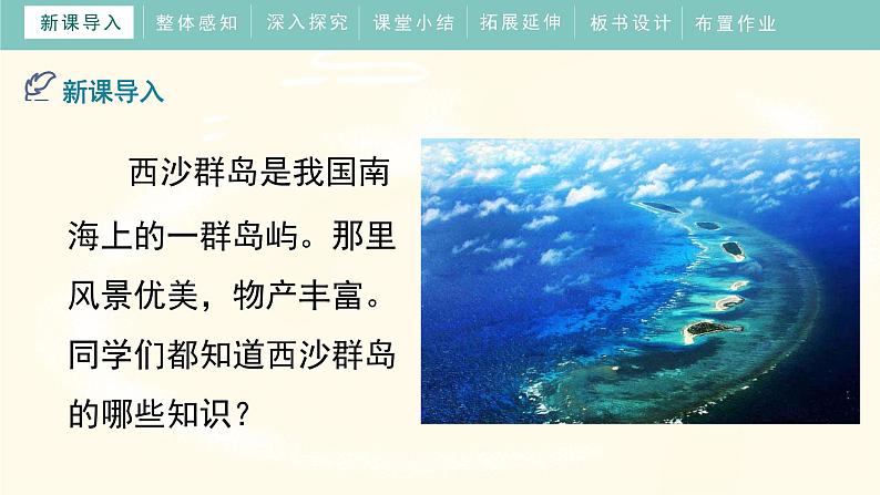 18《富饶的西沙群岛》(课件)部编版语文三年级上册04