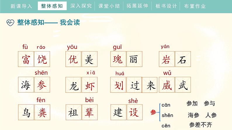 18《富饶的西沙群岛》(课件)部编版语文三年级上册08