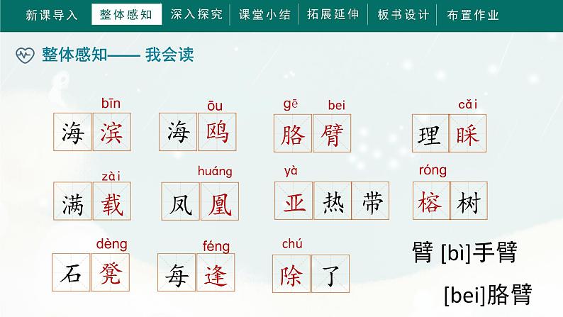 18《海滨小城》 (课件)部编版语文三年级上册08