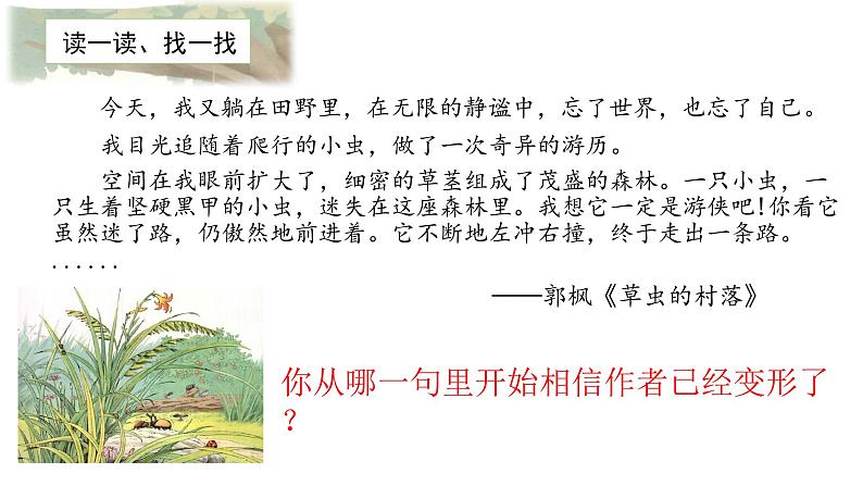 第一单元《习作:变形记》课件+教案05