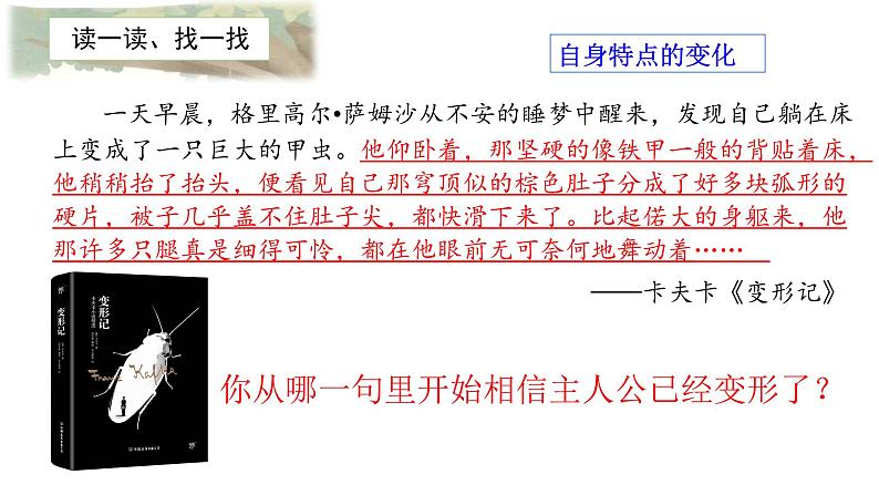 第一单元《习作:变形记》课件+教案08