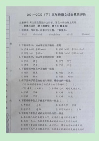 辽宁省沈阳市大东区2021-2022学年五年级下学期期末语文试题