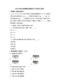 2022年河北省邯郸市临漳县小升初语文试卷  word，解析版