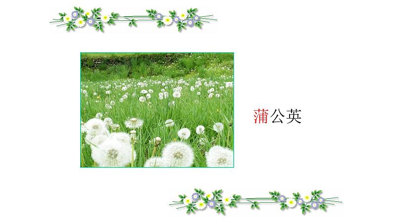 人教部编版语文二年级上册课文(一)3.课件植物妈妈有办法 课件03