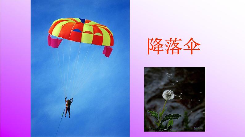 人教部编版语文二年级上册课文(一)3.课件植物妈妈有办法 课件04
