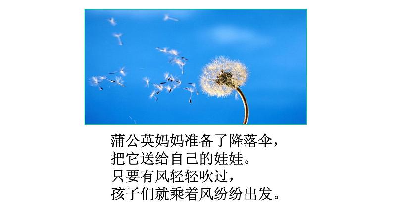 人教部编版语文二年级上册课文(一)3.课件植物妈妈有办法 课件05