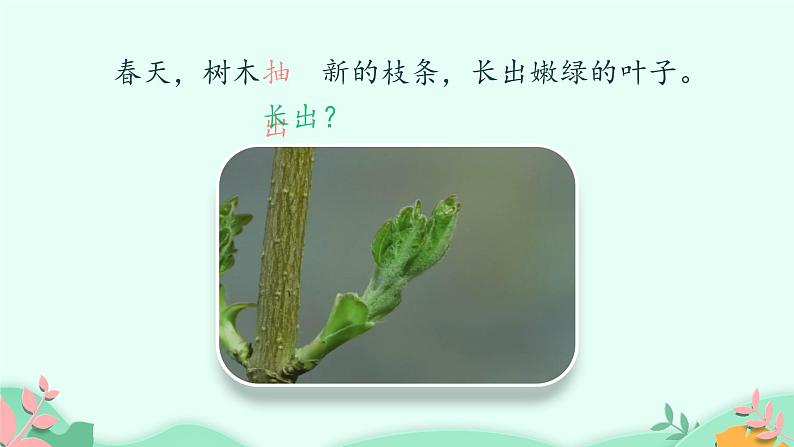 人教部编版语文三年级上册 20.美丽的小兴安岭 课件1第6页