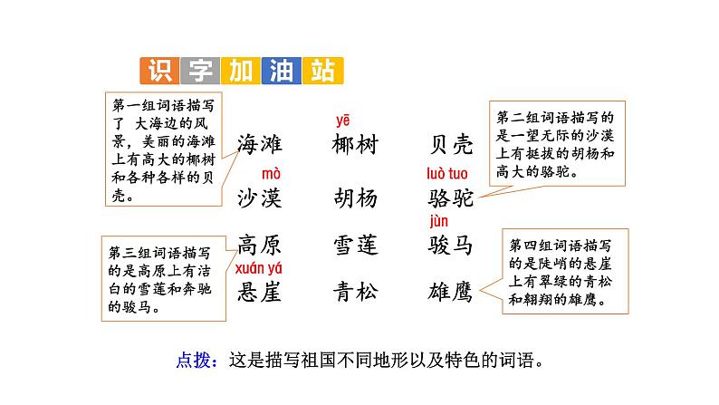 部编版二年级语文上册--《语文园地七》课件1第6页