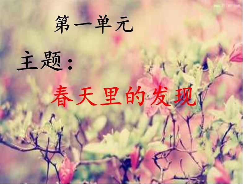 部编版三年级语文上册--2.花的学校-课件1第2页