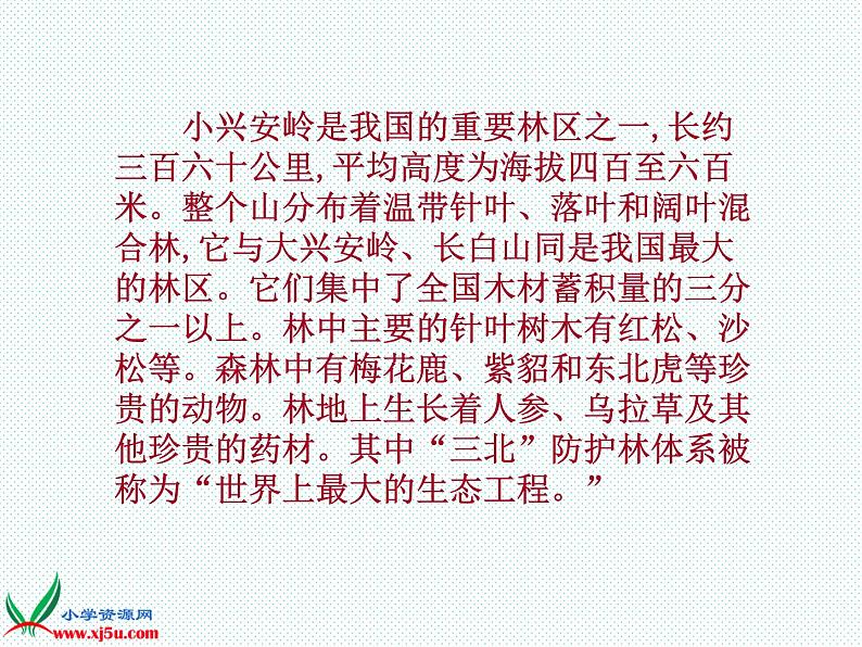 部编版三年级语文上册--20.美丽的小兴安岭-课件第3页