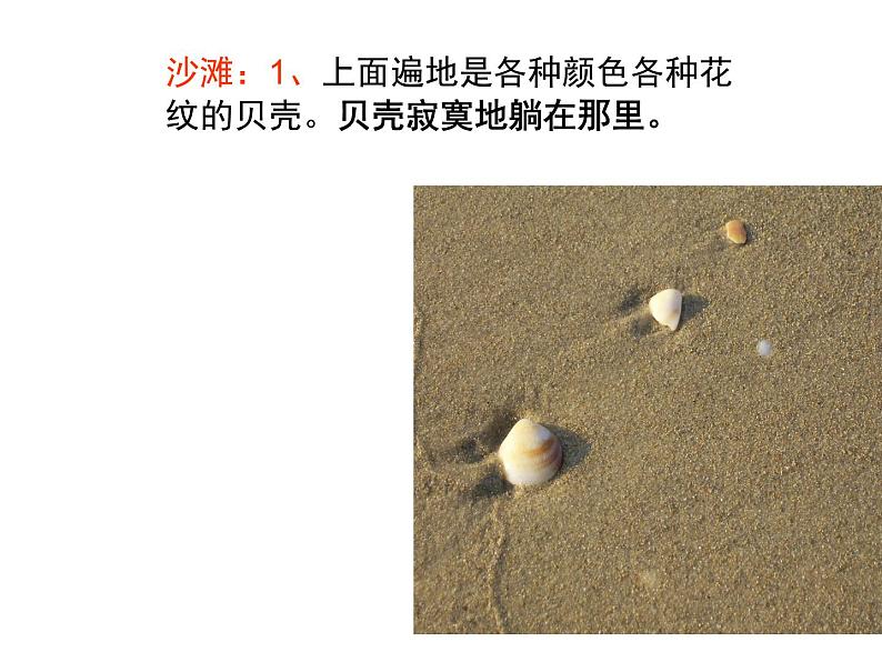 部编版三年级语文上册--19.海滨小城-课件106