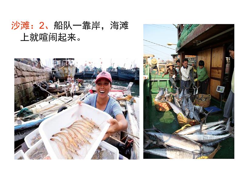 部编版三年级语文上册--19.海滨小城-课件107