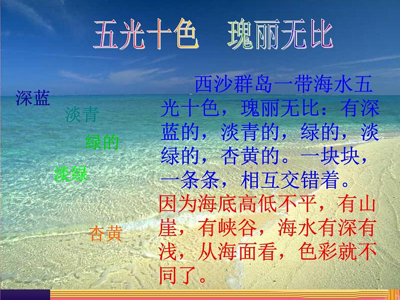 部编版三年级语文上册--18.富饶的西沙群岛-课件2第8页