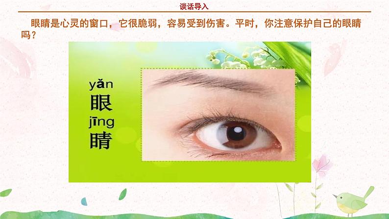 部编版语文四年级上册口语交际《爱护眼睛,保护视力》课件PPT+教案04