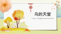 人教部编版五年级上册第七单元23 鸟的天堂精品课件ppt