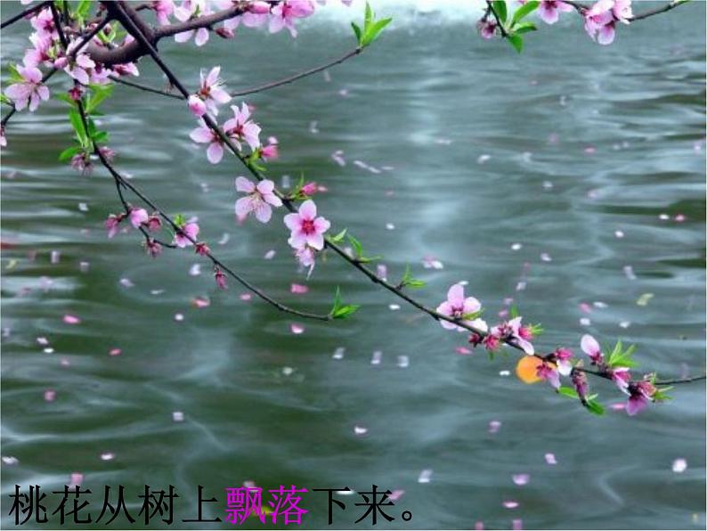 部编版一年级语文上册--8《雨点儿》课件208