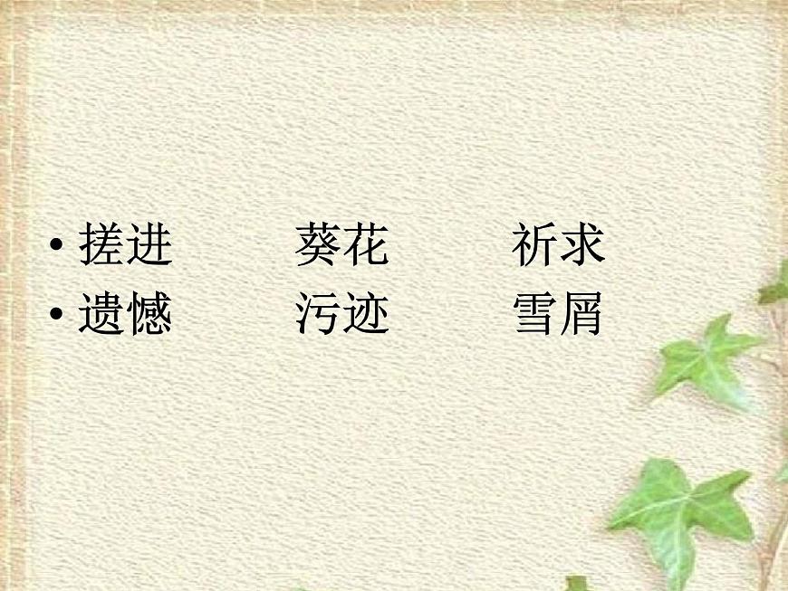 部編語(yǔ)文《20 蘆花鞋》PPT課件第3頁(yè)