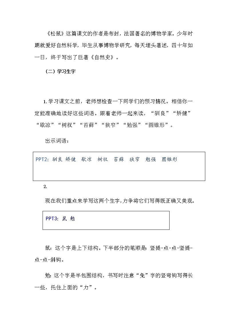 《松鼠》课件+教案02