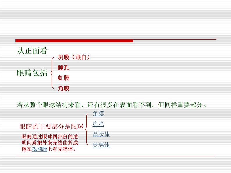 部编版四年级语文上册--口语交际:爱护眼睛,保护视力-课件2第4页
