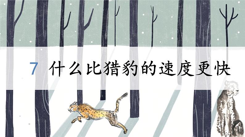 人教部编版语文五年级上册 7.什么比猎豹的速度更快 课件01