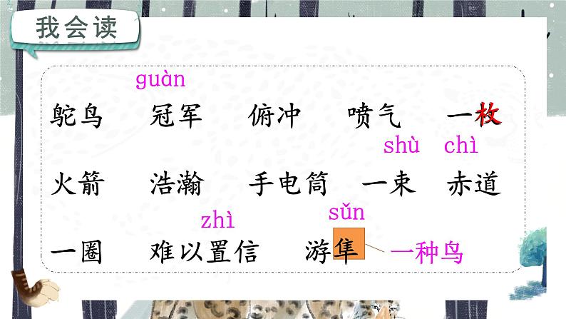 人教部编版语文五年级上册 7.什么比猎豹的速度更快 课件04